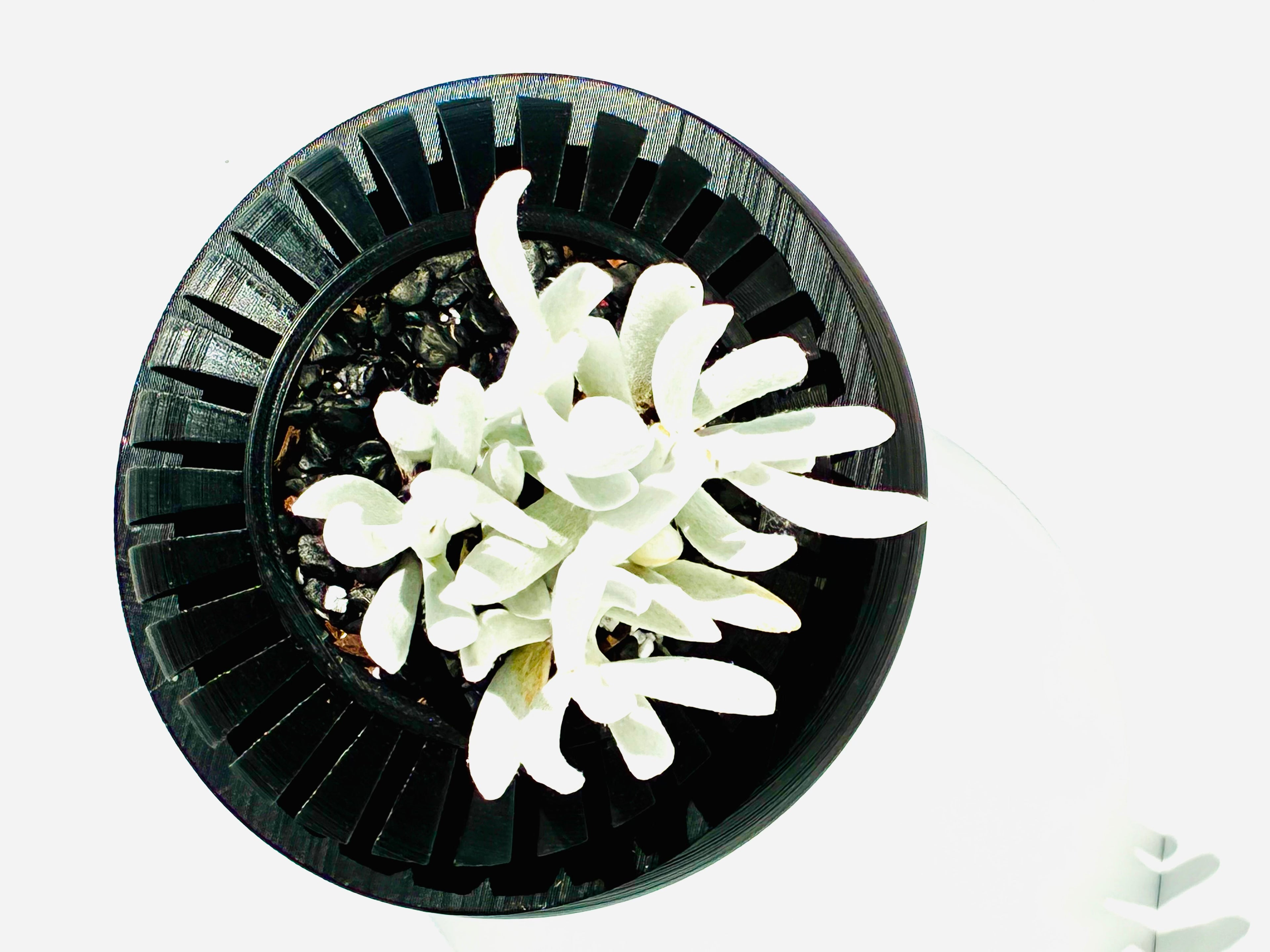 Atrium Sphere